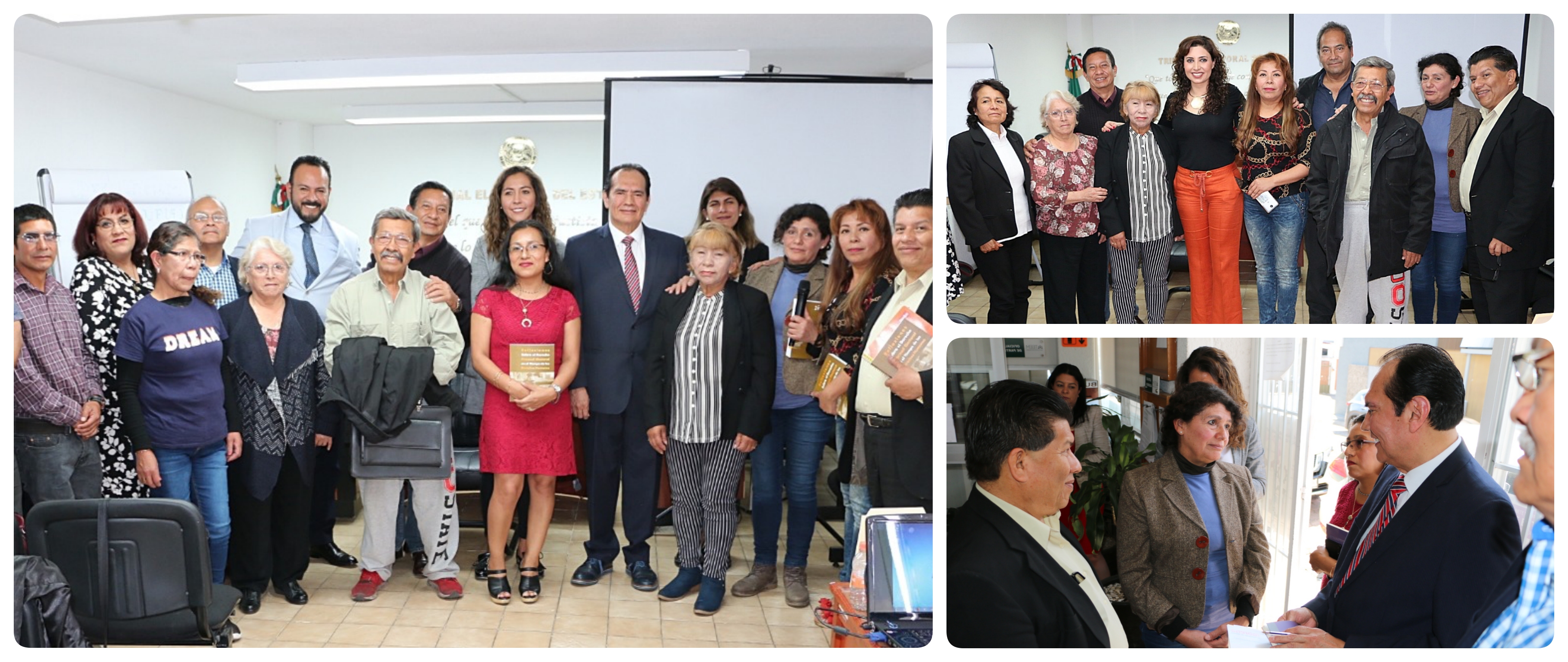 CON RESTRICCIONES, LA DEMOCRACIA PARTICIPATIVA: TEEM