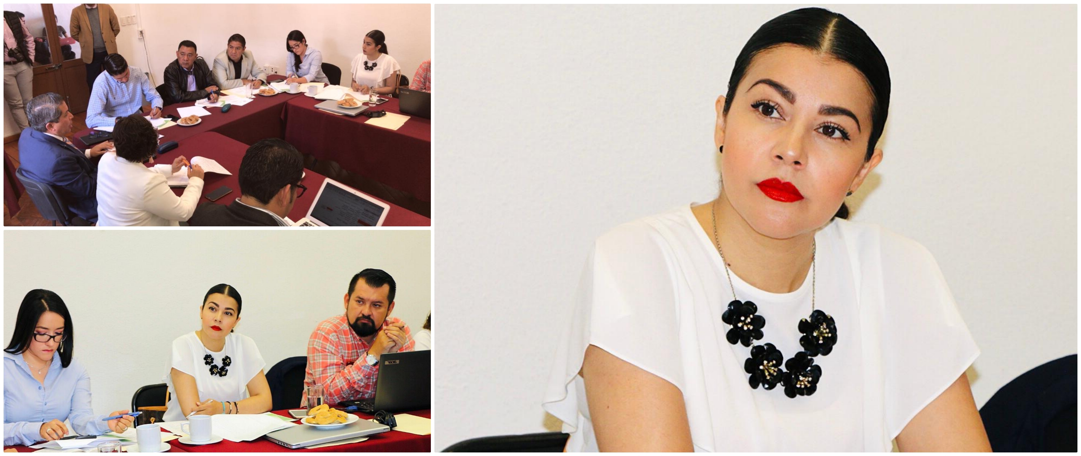 Abierta disposición de la institución que representa para participar en los próximos Foros Ciudadanos para la Actualización del Marco Normativo Electoral.