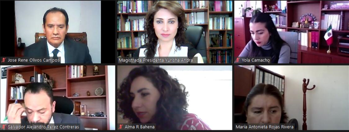 sesión pública virtual celebrada el 25 de noviembre de 2020