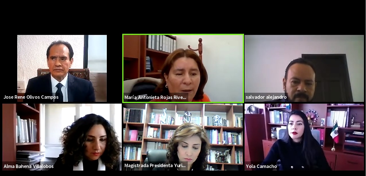 Sesión pública virtual celebrada el 21 de enero de 2021,