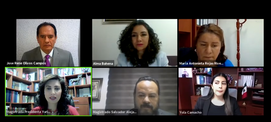 Sesión Publica 18 Febrero de 2021