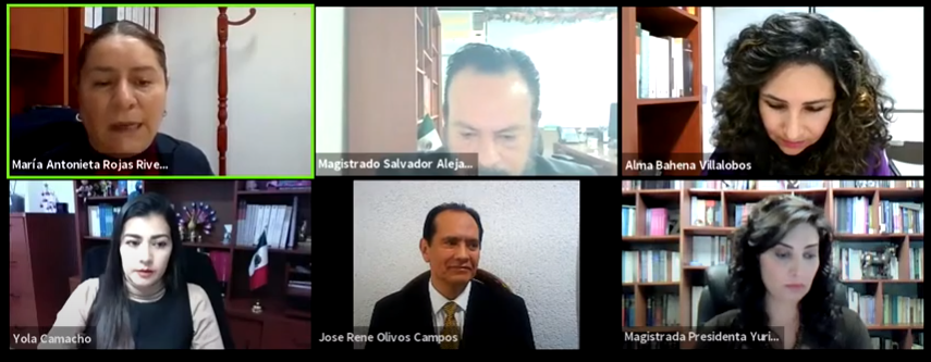 Sesión Publica 17Febrero de 2021