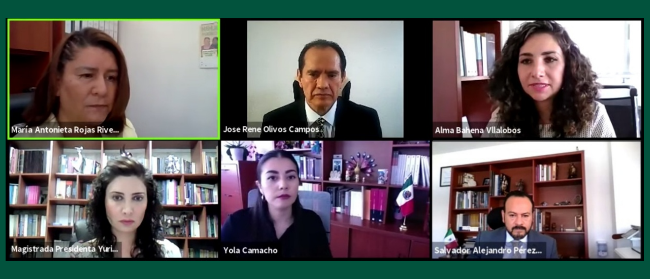 ORDENA EL TEEM AL IEM DAR RESPUESTA A  PETICIÓN CIUDADANA