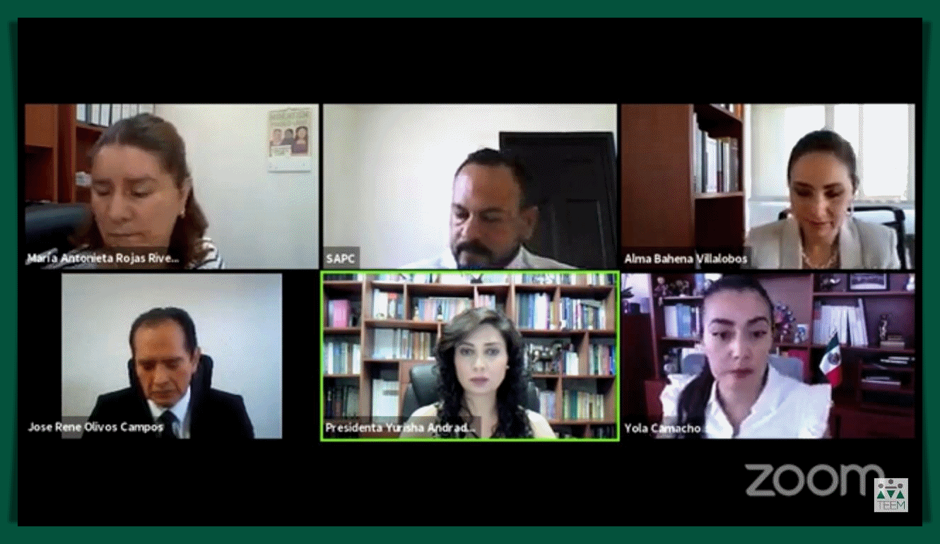 ORDENA TEEM AL IEM DAR CONTESTACIÓN A PETICIÓN DEL PVEM