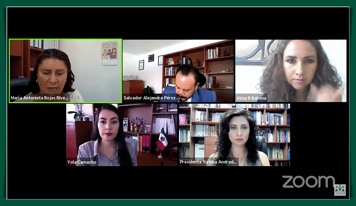 Confirma TEEM Lineamientos emitidos por el IEM para la implementación de acciones afirmativas en cargos de elección popular, a favor de las personas LGBTTTIQ+, indígenas, jóvenes y personas en situación de discapacidad