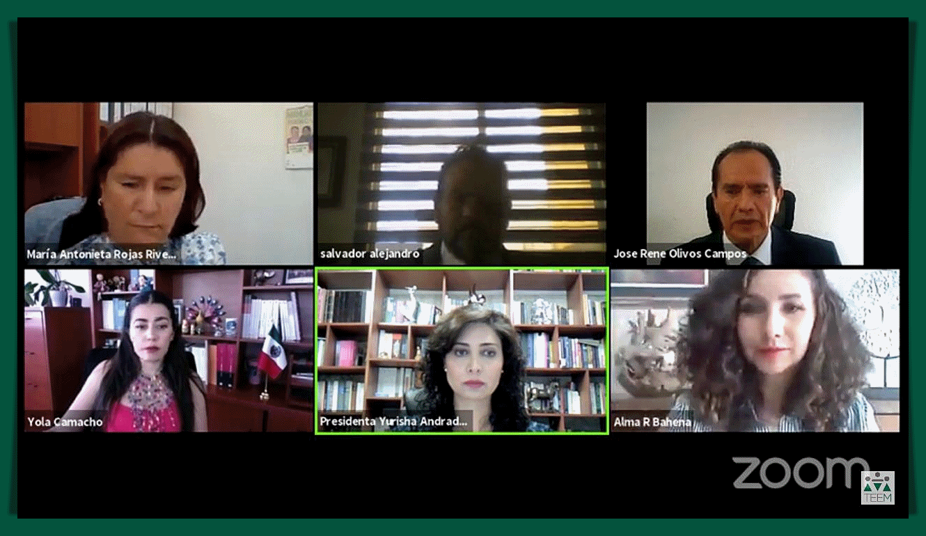 DECLARA TEEM EXISTENCIA DE ACTOS ANTICIPADOS DE CAMPAÑA Y AMONESTA PÚBLICAMENTE.