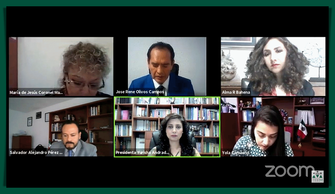 Confirma TEEM resolución  emitida por la CNHJ de Morena.