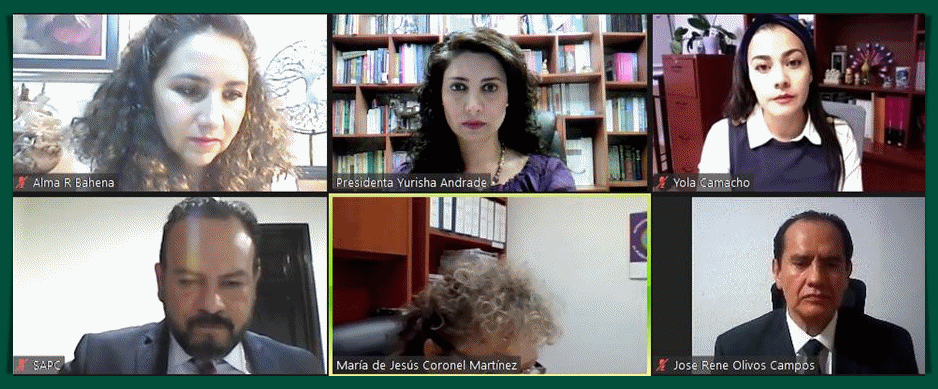 TEEM declara inexistente la violación a los principios de equidad e imparcialidad en la contienda.