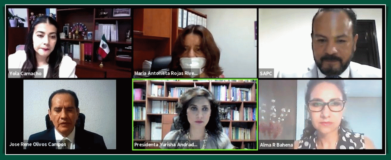 Ratifica TEEM designación de Presidente Municipal Sustituto de Tarímbaro