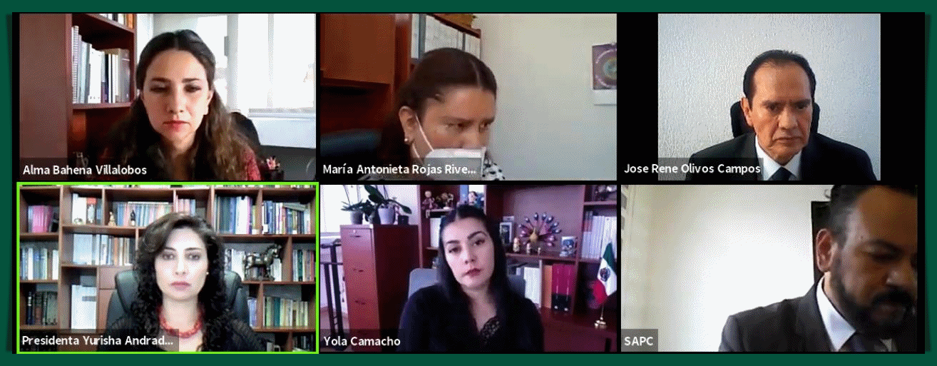 TEEM AMONESTA PÚBLICAMENTE AL PARTIDO MOVIMIENTO CIUDADANO Y A SU PRECANDIDATO A LA PRESIDENCIA MUNICIPAL DE HIDALGO.