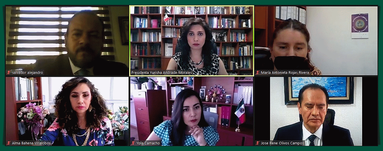 TEEM AMONESTA PÚBLICAMENTE AL PAN Y A SU CANDIDATO A LA PRESIDENCIA MUNICIPAL DE ZAMORA.