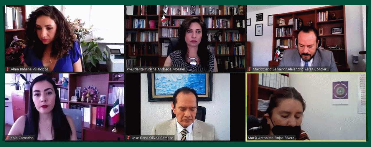 DECLARA TEEM EXISTENCIA DE INFRACCIÓN ATRIBUIDA AL PRESIDENTE MUNICIPAL DE ZAMORA.