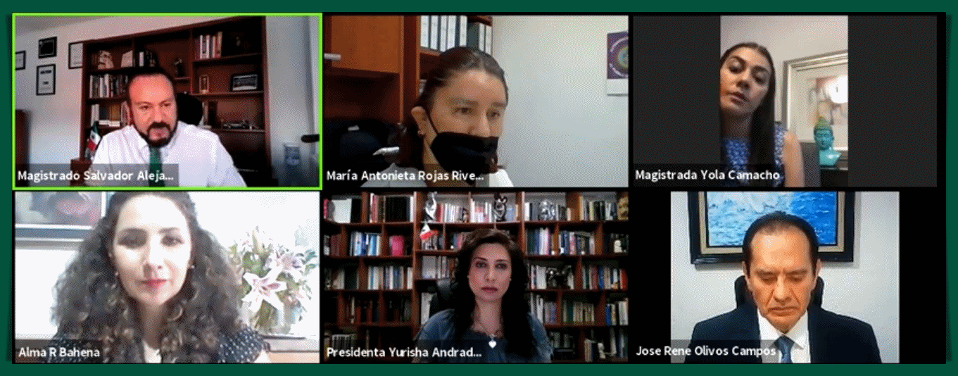 APRUEBA TEEM USO DE MECANISMO ELECTRÓNICOS EN LA RECEPCIÓN DE MEDIOS DE IMPUGNACIÓN.