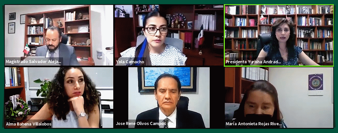 ORDENA TEEM CAMBIO DE LUGARES DE REGIDURÍAS IMPLEMENTANDO ACCIÓN AFIRMATIVA LGBTTTIQ+ 