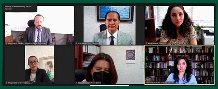 TEEM AMONESTA PÚBLICAMENTE A LA SÍNDICA DE PÁTZCUARO Y AL PARTIDO DEL TRABAJO.