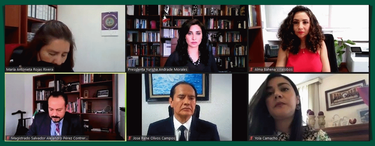 AMONESTA PÚBLICAMENTE TEEM A DIPUTADA LOCAL POR ACTOS ANTICIPADOS DE CAMPAÑA.