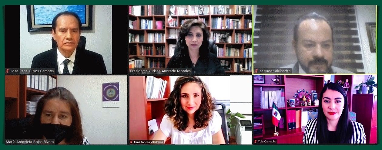 TEEM CONMINA NUEVAMENTE A MORENA ADOPCIÓN DE MEDIDAS EN PROCESOS INTERNOS DE SELECCIÓN DE CANDIDATOS.