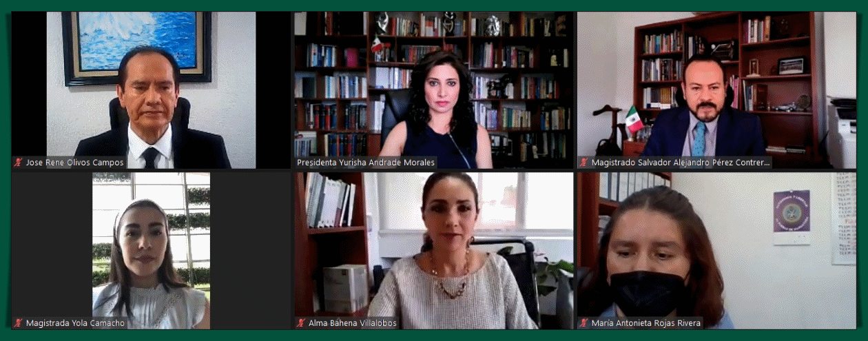 TEEM DESECHA MEDIOS DE IMPUGNACIÓN CONTRA MORENA POR FALTA DE INTÉRES DE LOS ACTORES.