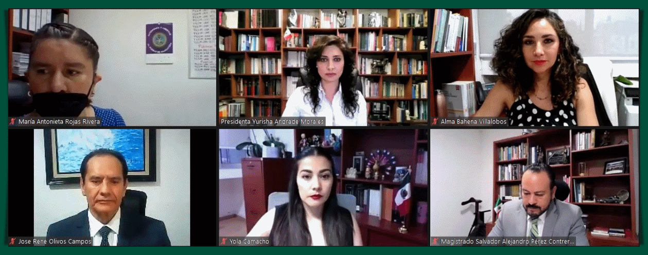 CONFIRMA TEEM CANDIDATO A LA GUBERNATURA POR EL PARTIDO MORENA.