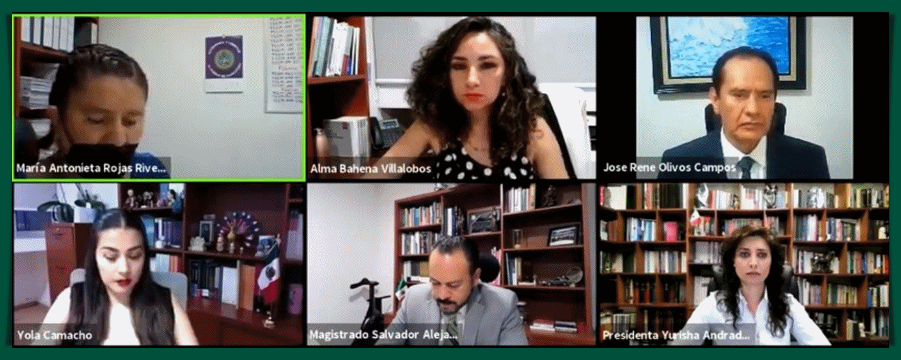 JOSÉ RENÉ OLIVOS: CONSIDERA FALTA DE INTERÉS JURÍDICO DEL DEMANDANTE EN EL JUICIO CIUDADANO TEEM-239/2021 