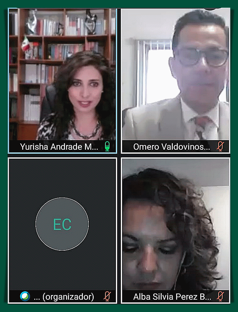 LOS PRINCIPIOS CONSTITUCIONALES DEMOCRÁTICOS SON EL EJE DE TODO SISTEMA POLÍTICO-ELECTORAL: YURISHA ANDRADE.