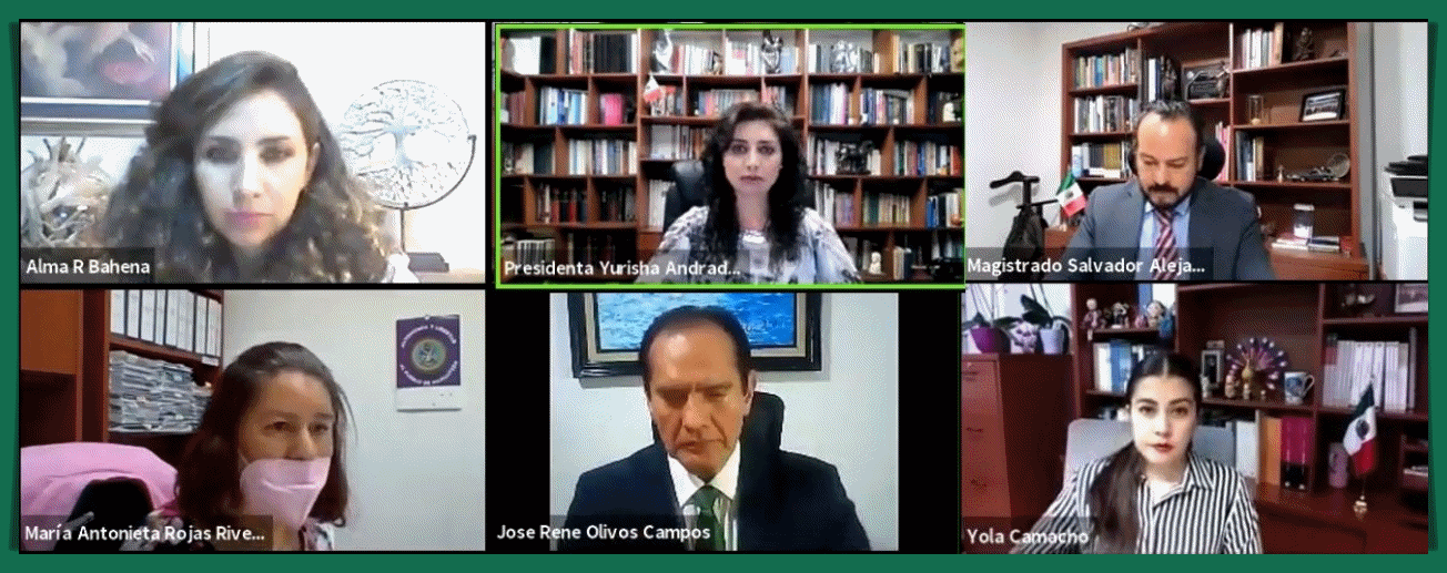 TEEM AMONESTA PÚBLICAMENTE A IVÁN PÉREZ NEGRÓN.