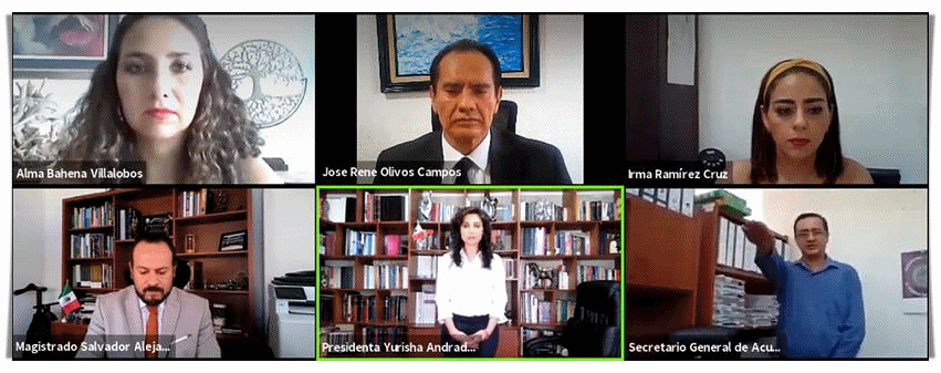 RATIFICA TEEM ASIGNACIÓN DE LA CANDIDATURA A REGIDOR DE LA FÓRMULA 2 EN LA PIEDAD.