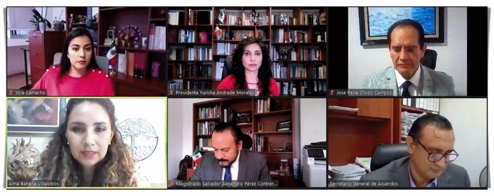 CONFIRMA TEEM CANDIDATURA PARA LA PRESIDENCIA MUNICIPAL DE HIDALGO POSTULADA POR PRI-PRD. 