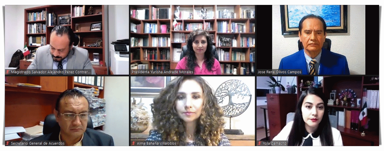 TEEM AMONESTA PÚBLICAMENTE AL CANDIDATO A LA GUBERNATURA POR EL PVEM.