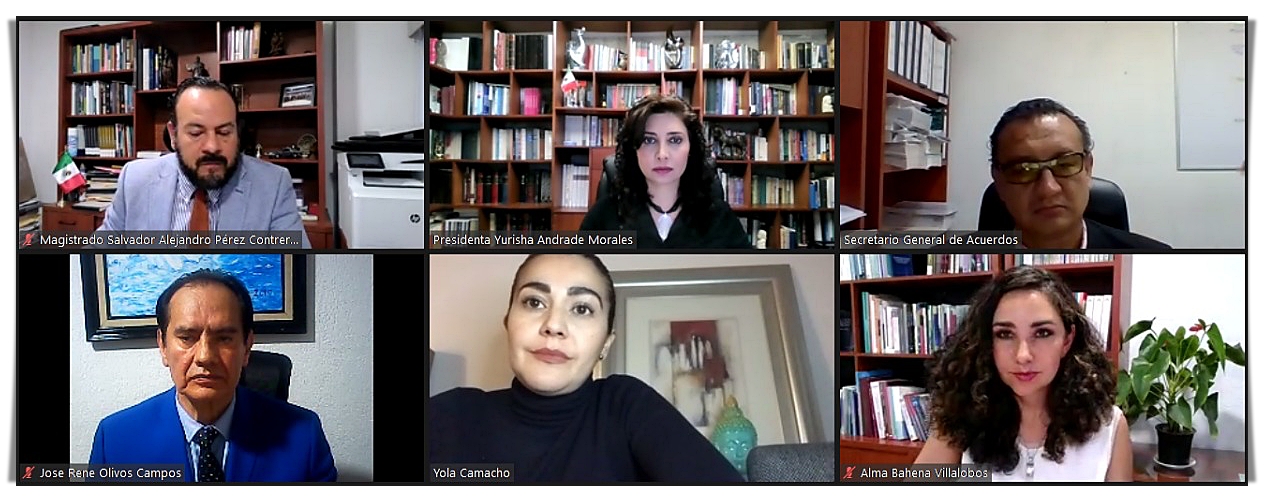 TEEM IMPONE AMONESTACIÓN PÚBLICA POR VULNERACIÓN A INTERÉS SUPERIOR DE LA NIÑEZ.