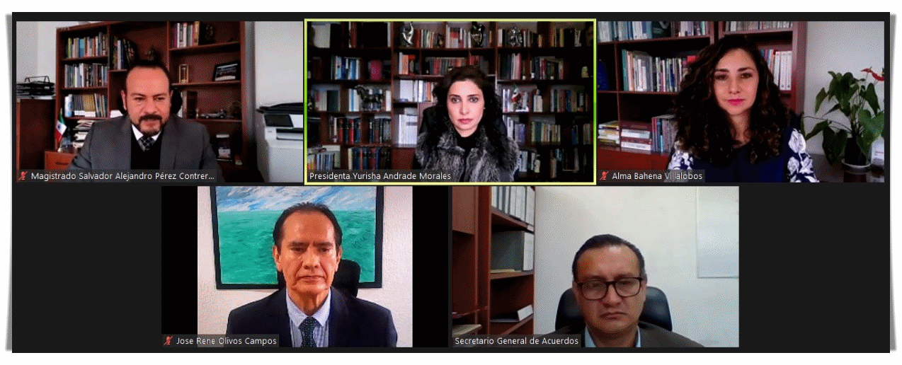 VALIDA TEEM ELECCIÓN DE LOS AYUNTAMIENTOS DE VILLAMAR Y LA PIEDAD