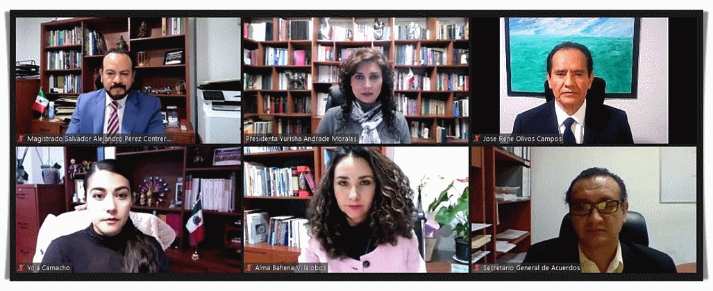 CONFIRMA TEEM ELECCIÓN DE DIPUTACIÓN LOCAL DEL DISTRITO 13 DE ZITÁCUARO.