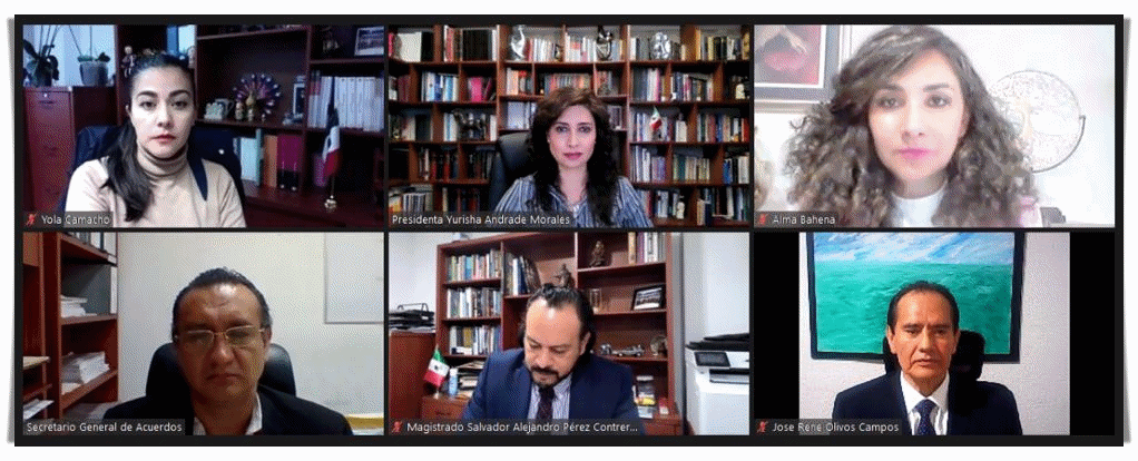 AMONESTA TEEM PÚBLICAMENTE A ALFONSO MARTÍNEZ Y A LOS PARTIDOS PAN Y PRD.