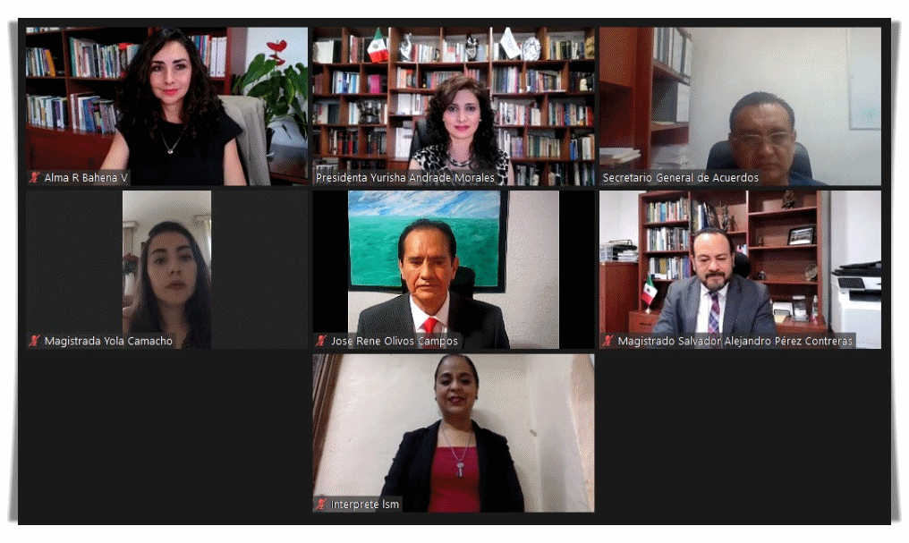 RESUELVE TEEM, AMONESTACIÓN PÚBLICA PARA EL PRI, PRD Y PES ASÍ COMO PARA SUS CANDIDATOS EN ÁLVARO OBREGÓN