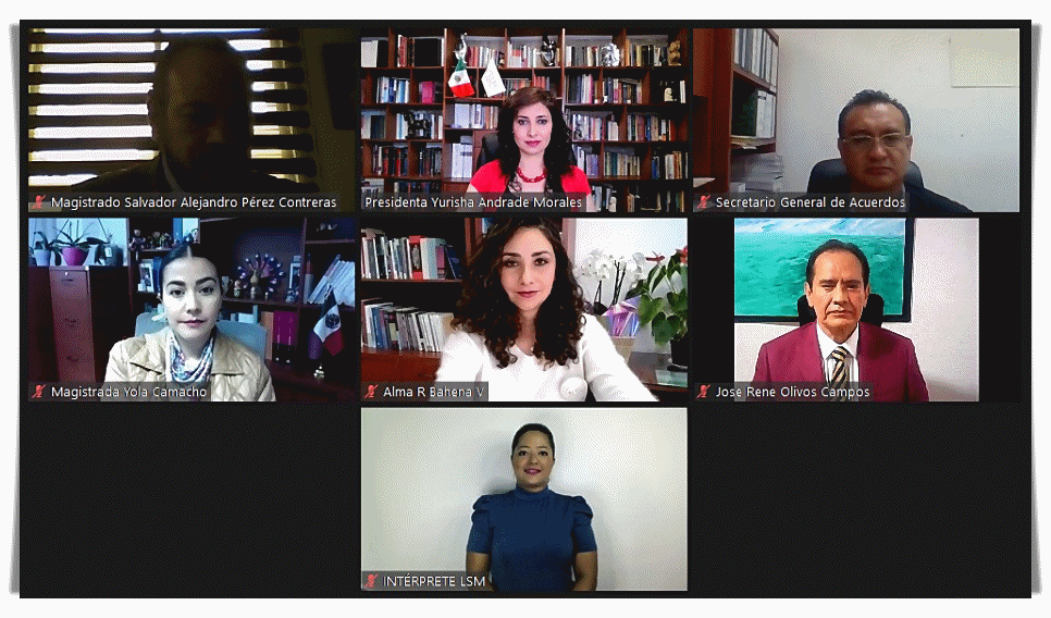 DESAHOGA TEEM DIVERSOS PROCEDIMIENTOS ESPECIALES SANCIONADORES