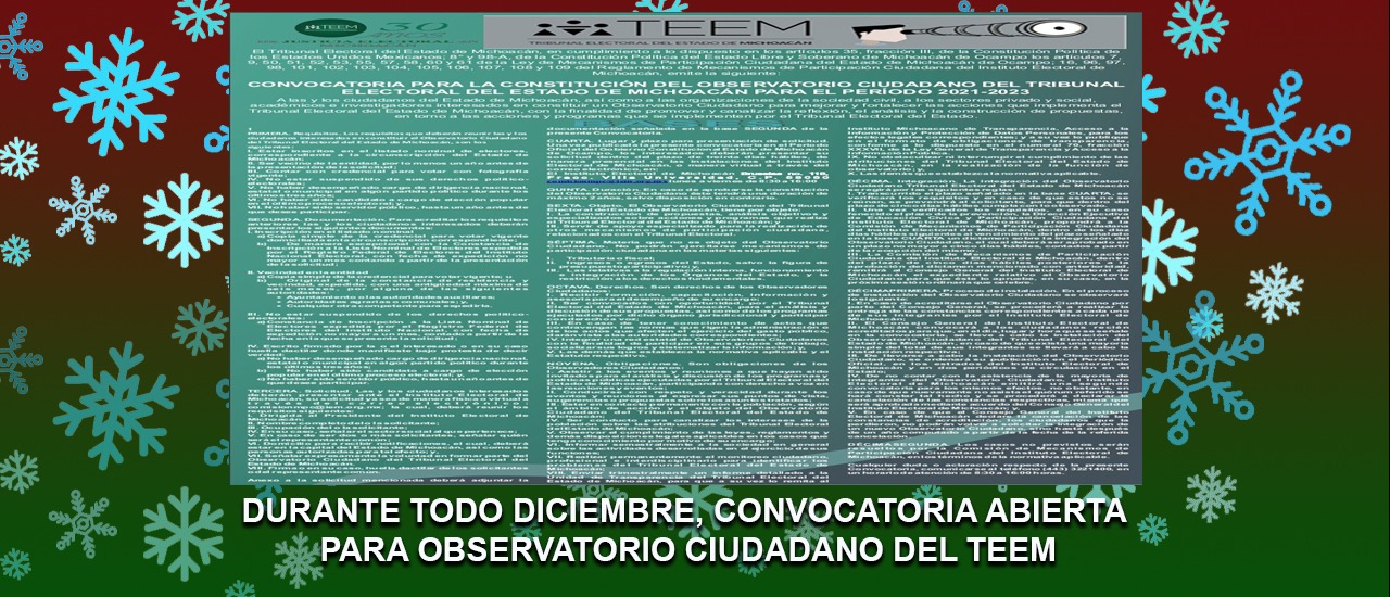 DURANTE TODO DICIEMBRE, CONVOCATORIA ABIERTA PARA OBSERVATORIO CIUDADANO DEL TEEM 