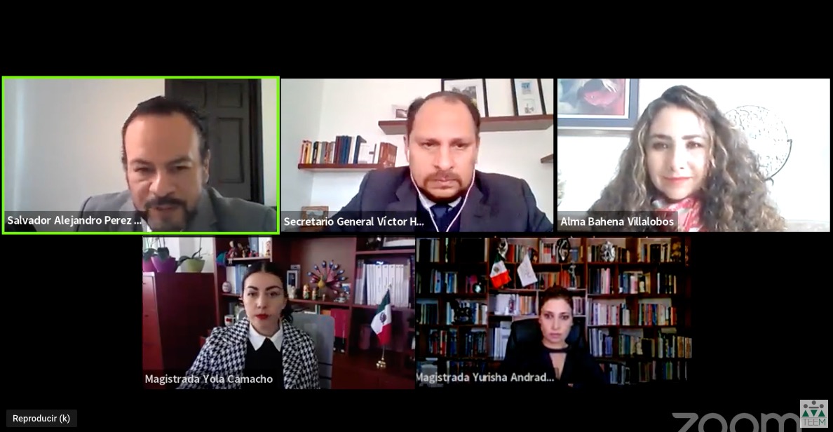 DA TEEM CERTEZA JURÍDICA, DICTA SENTENCIA A DIVERSOS MEDIOS DE IMPUGNACIÓN 