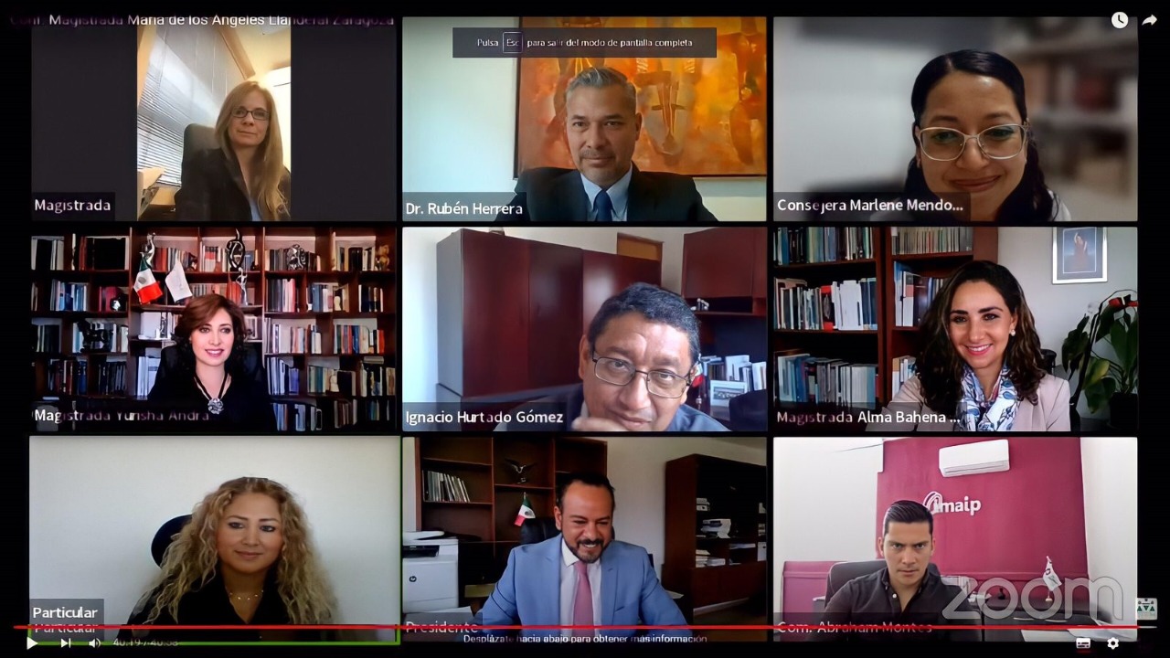  INSTITUCIONES ELECTORALES AUTÓNOMAS, UN AVANCE PARA MÉXICO: LLANDERAL ZARAGOZA 