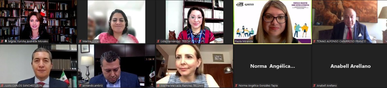 JUSTICIA ALTERNATIVA EN MATERIA ELECTORAL, ASUNTO PENDIENTE Y NECESARIO: MAGISTRADA YURISHA ANDRADE